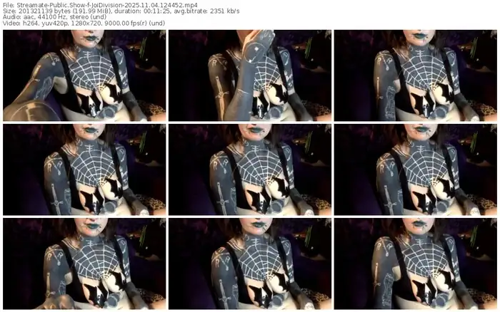 streamate-joidivision-11-04-2025-12-44-52