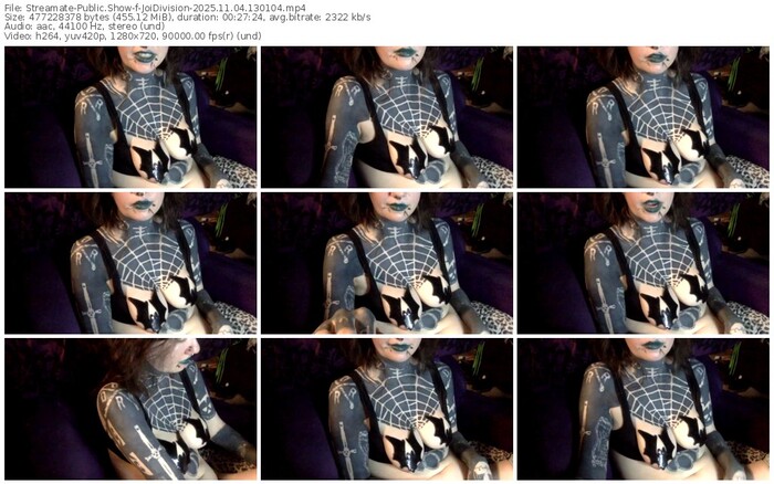 streamate-joidivision-11-04-2025-13-01-04