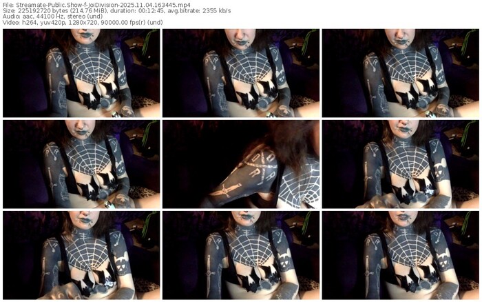 streamate-joidivision-11-04-2025-16-34-45