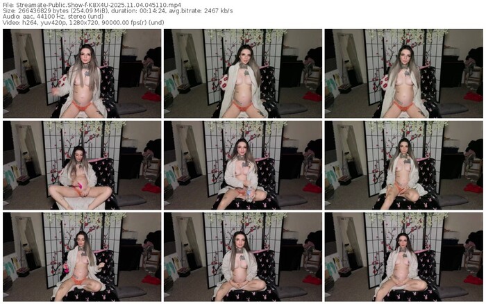 streamate-k8x4u-11-04-2025-04-51-10