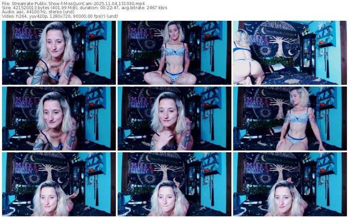streamate-missquincam-11-04-2025-13-10-30