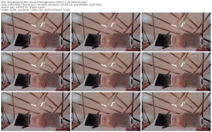 streamate-ninnaevansx-11-04-2025-08-45-24