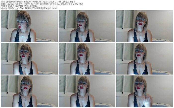 streamate-pamelastream-11-04-2025-21-02-03