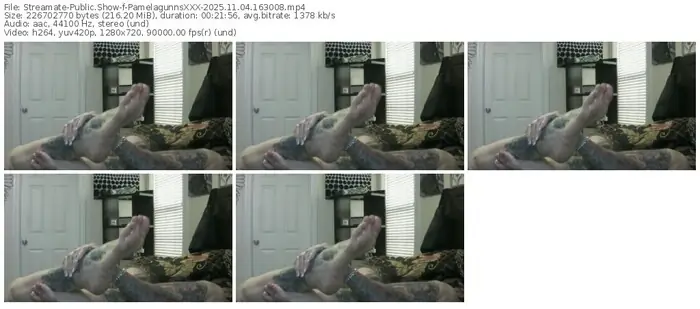 streamate-pamelagunnsxxx-11-04-2025-16-30-08