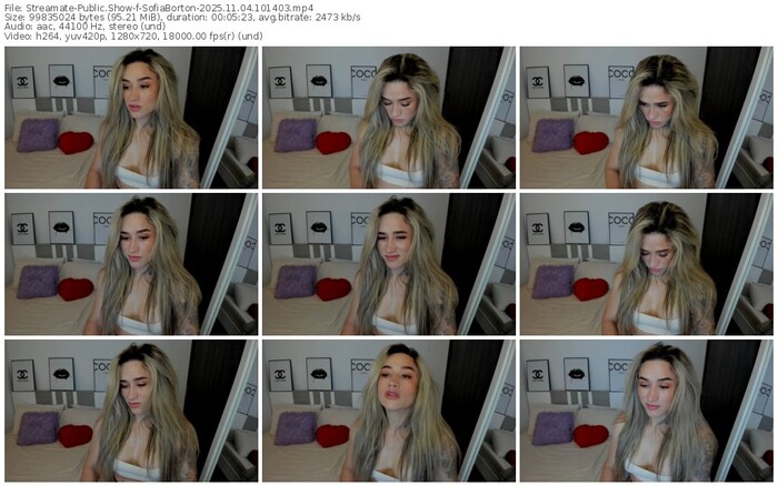 streamate-sofiaborton-11-04-2025-10-14-03