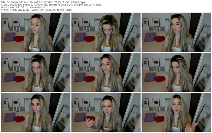 streamate-sofiaborton-11-04-2025-10-36-40