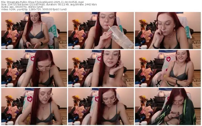 streamate-sylvieskyexo-11-04-2025-01-05-41