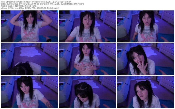 streamate-willowxrose-11-04-2025-04-15-45