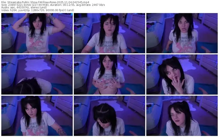 streamate-willowxrose-11-04-2025-04-15-45