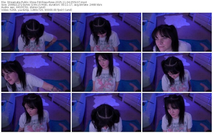 streamate-willowxrose-11-04-2025-05-51-07
