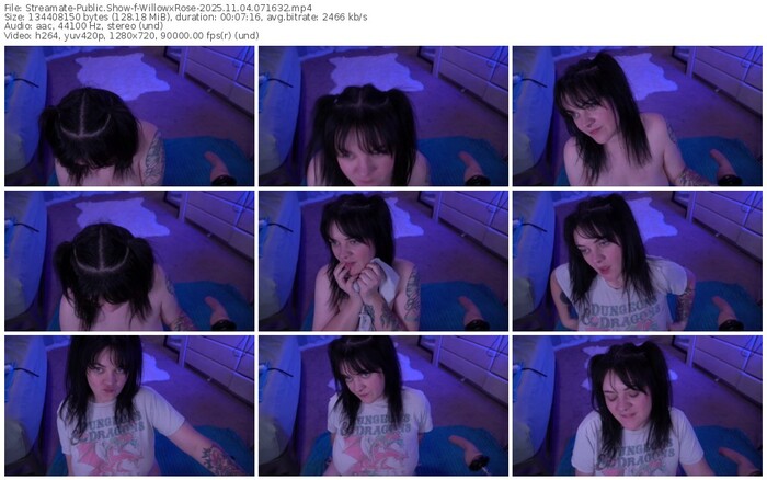 streamate-willowxrose-11-04-2025-07-16-32