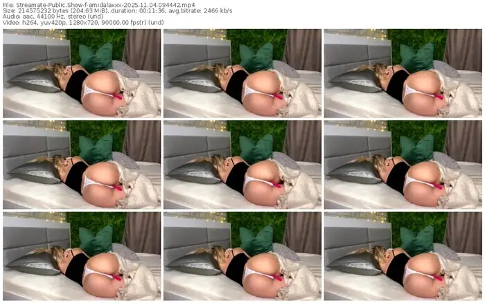 streamate-amidalaxxx-11-04-2025-09-44-42