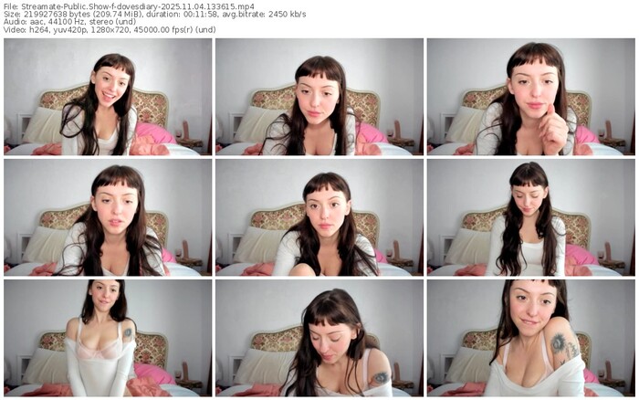 streamate-dovesdiary-11-04-2025-13-36-15