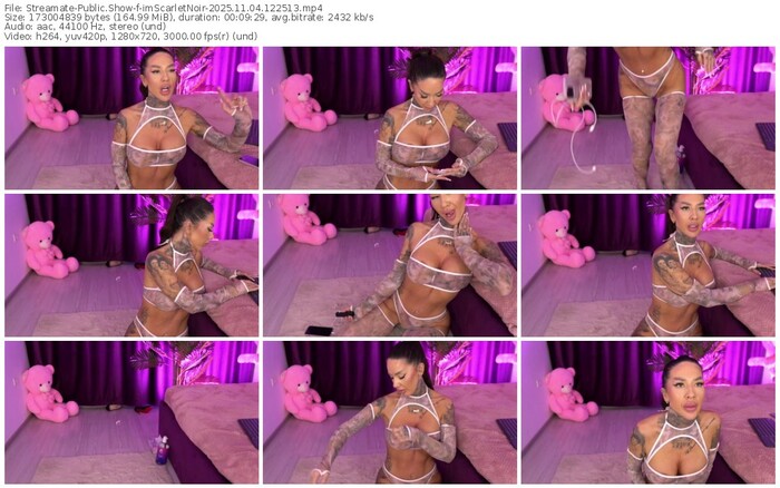 streamate-imscarletnoir-11-04-2025-12-25-13