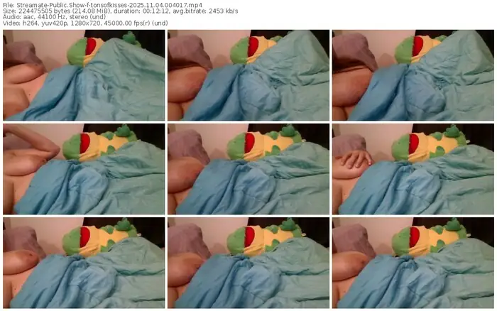 streamate-tonsofkisses-11-04-2025-00-40-17