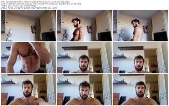 streamate-alphahhunk-11-04-2025-11-03-08