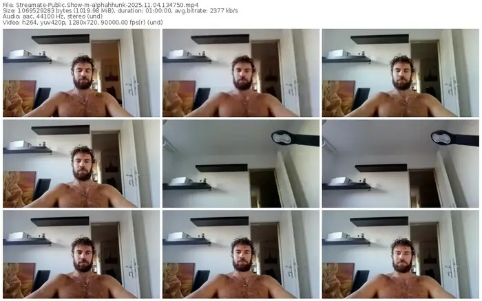 streamate-alphahhunk-11-04-2025-13-47-50