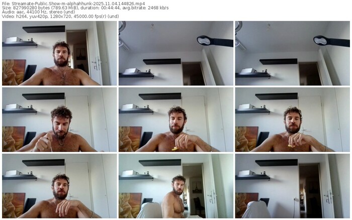streamate-alphahhunk-11-04-2025-14-48-26
