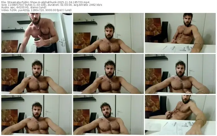 streamate-alphahhunk-11-04-2025-18-57-03