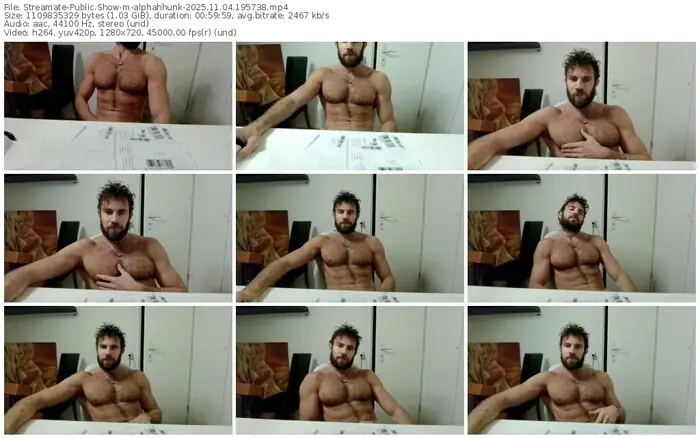 streamate-alphahhunk-11-04-2025-19-57-38