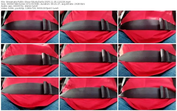 streamate-bustydarla-11-05-2025-11-02-26