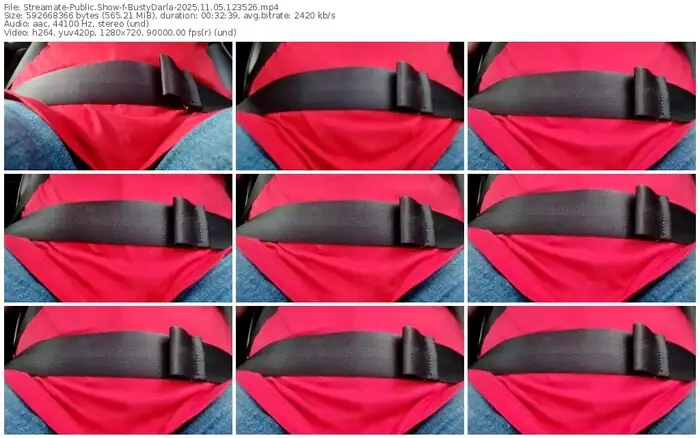 streamate-bustydarla-11-05-2025-12-35-26