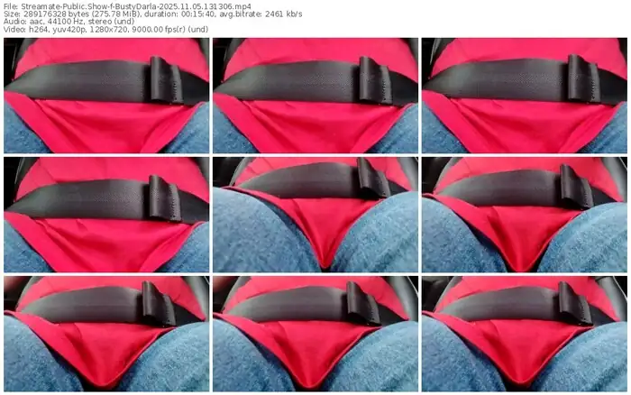 streamate-bustydarla-11-05-2025-13-13-06