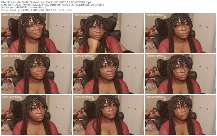 streamate-lewdcookiexo-11-05-2025-00-53-38