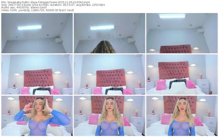 streamate-meganchase-11-05-2025-01-00-42