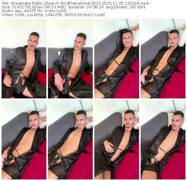 streamate-wildflamesilver2525-11-05-2025-12-00-04