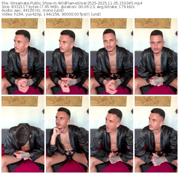 streamate-wildflamesilver2525-11-05-2025-15-03-45