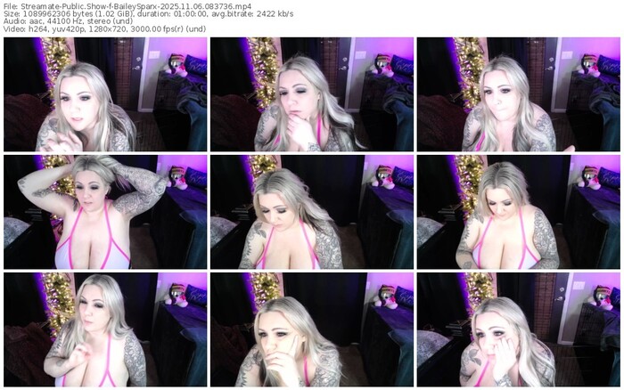 streamate-baileysparx-11-06-2025-08-37-36