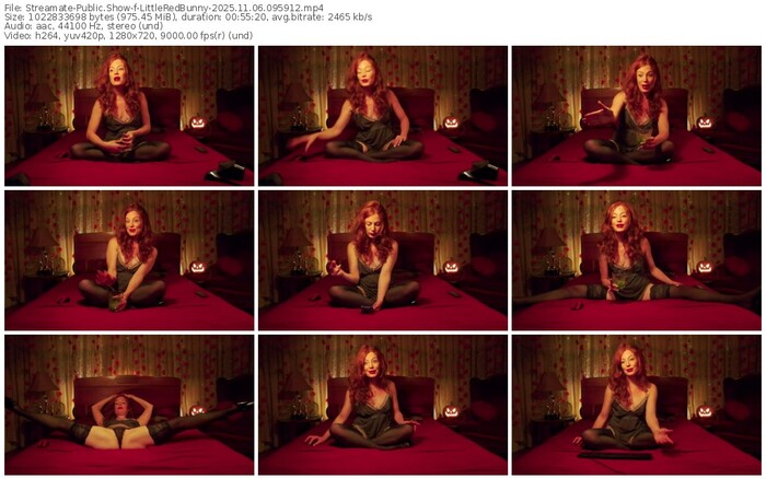 streamate-littleredbunny-11-06-2025-09-59-12