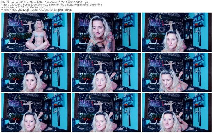 streamate-missquincam-11-06-2025-13-04-00