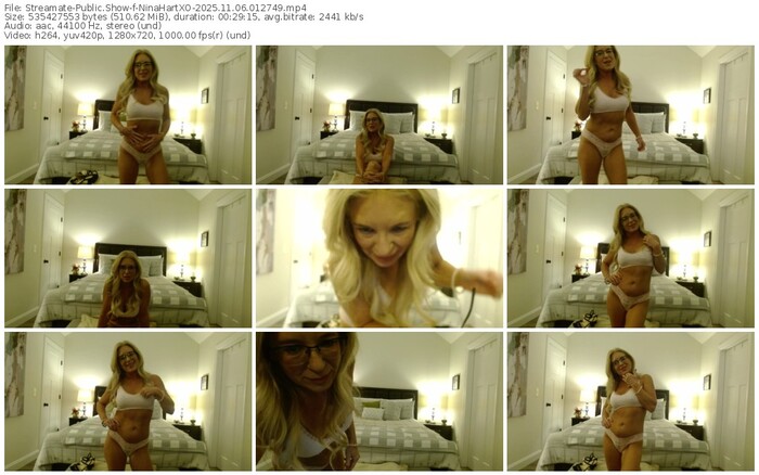 streamate-ninahartxo-11-06-2025-01-27-49