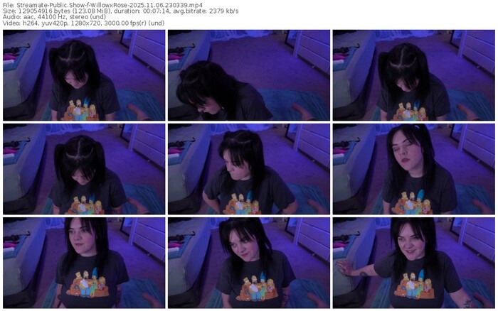 streamate-willowxrose-11-06-2025-23-03-39