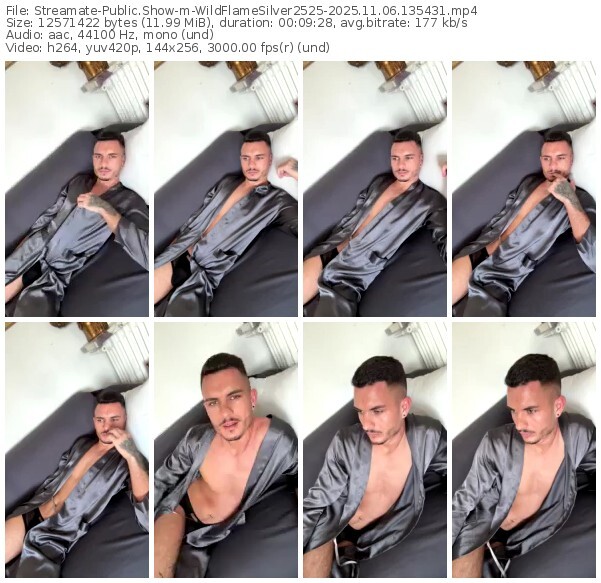 streamate-wildflamesilver2525-11-06-2025-13-54-31