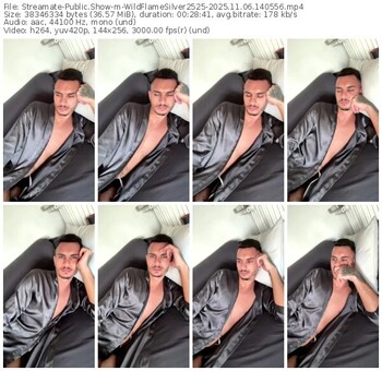streamate-wildflamesilver2525-11-06-2025-14-05-56