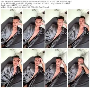 streamate-wildflamesilver2525-11-06-2025-14-05-56