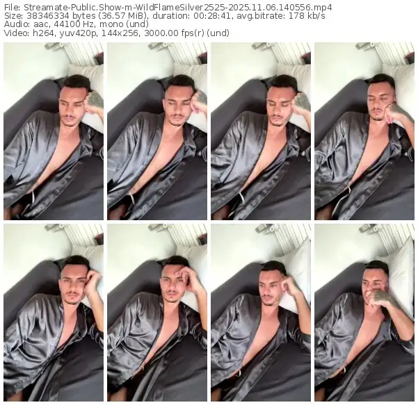 streamate-wildflamesilver2525-11-06-2025-14-05-56