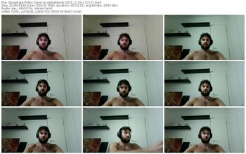 streamate-alphahhunk-11-06-2025-17-15-27