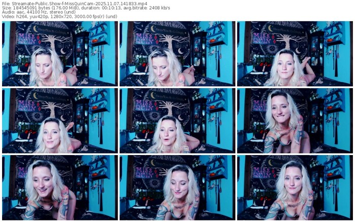 streamate-missquincam-11-07-2025-14-18-33