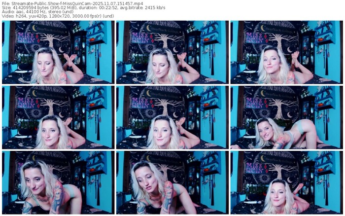 streamate-missquincam-11-07-2025-15-14-57