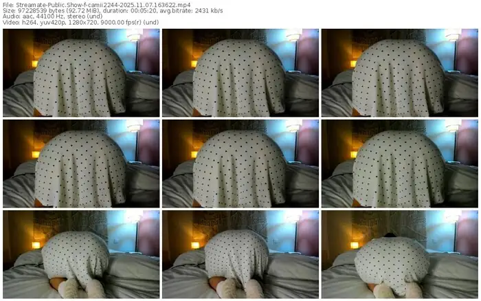 streamate-camii2244-11-07-2025-16-36-22