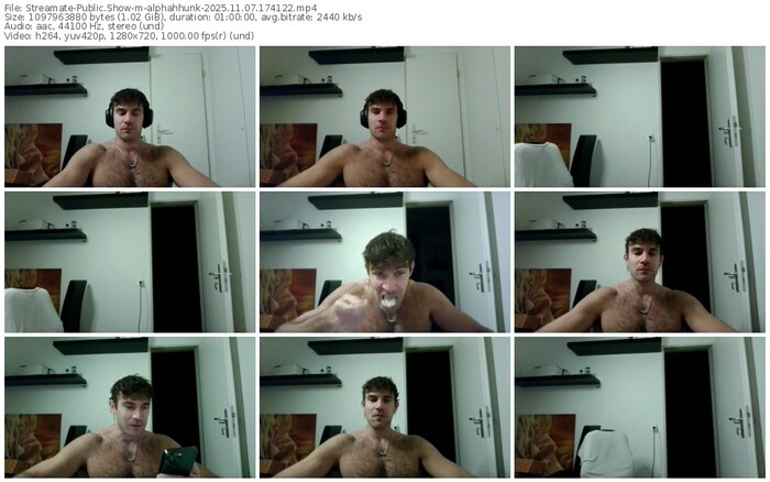 streamate-alphahhunk-11-07-2025-17-41-22