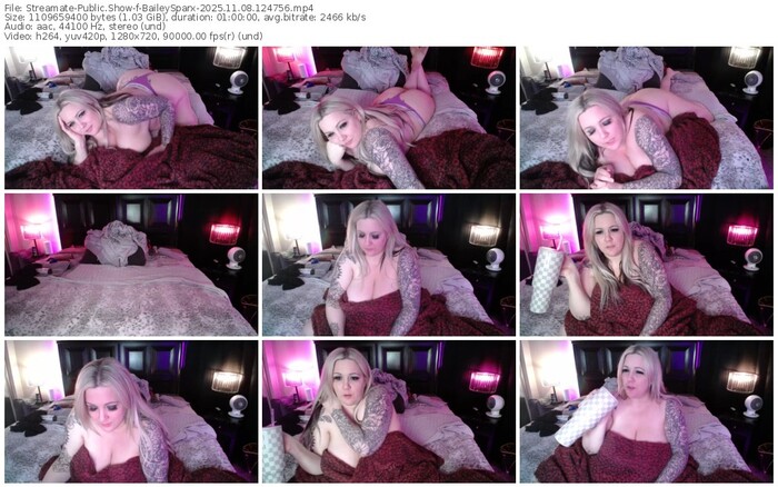 streamate-baileysparx-11-08-2025-12-47-56