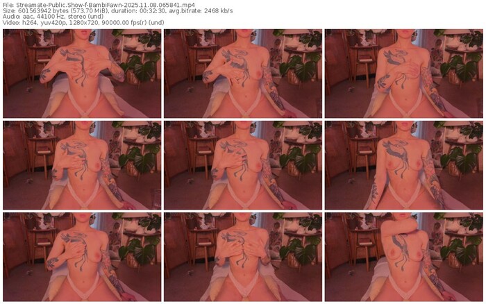 streamate-bambifawn-11-08-2025-06-58-41