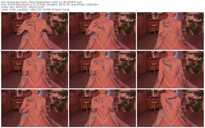 streamate-bambifawn-11-08-2025-06-58-41