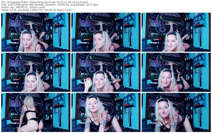 streamate-missquincam-11-08-2025-14-01-16