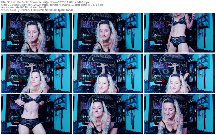 streamate-missquincam-11-08-2025-14-14-40